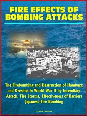 cover image of Fire Effects of Bombing Attacks